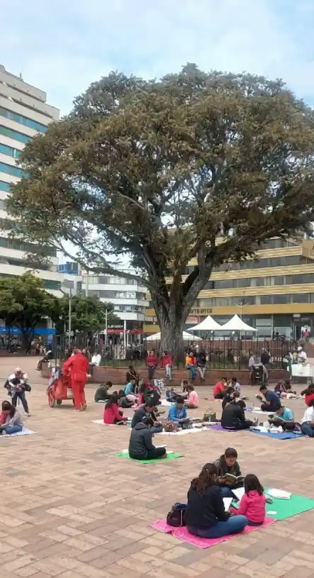 Convocatoria a leer bajo la cedrela